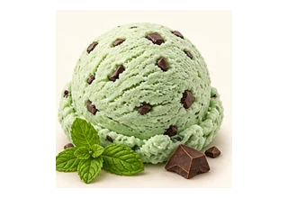 Mint chip ice cream scoop